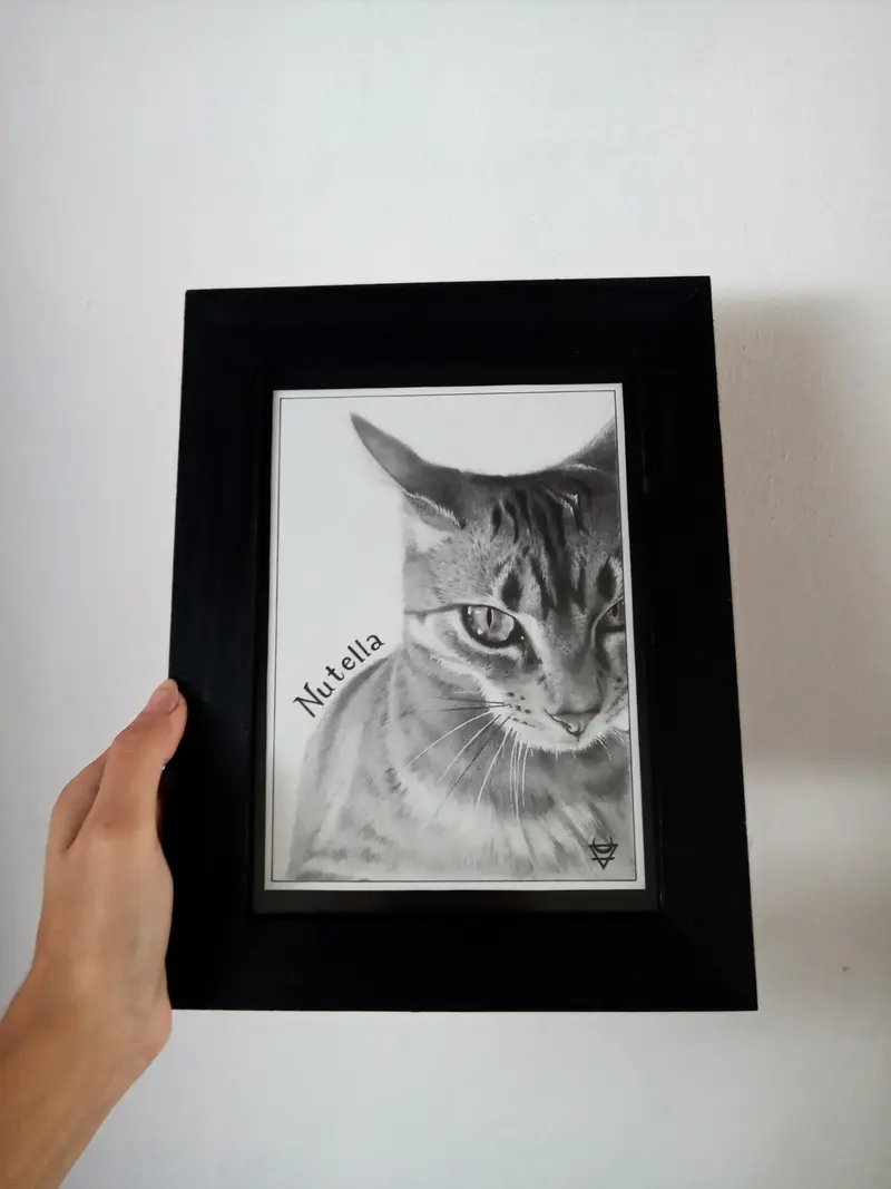 Retrato en grafito de la gata Nutella