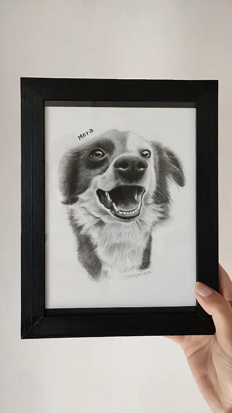 Retrato en grafito de la perrita Mora